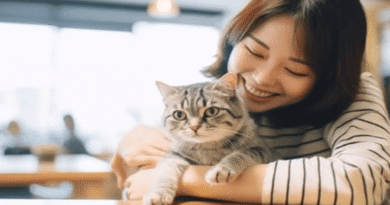 Bakeneko and Nekomata