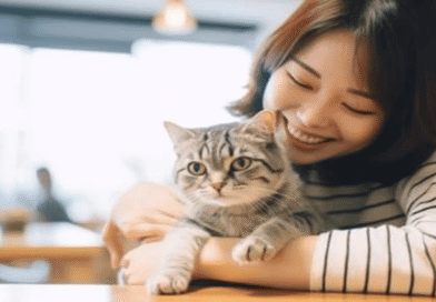 Bakeneko and Nekomata