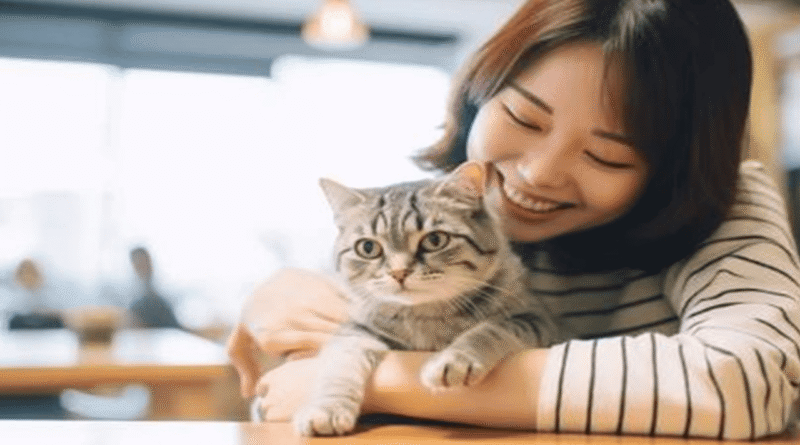 Bakeneko and Nekomata