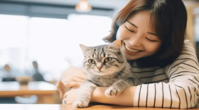 Bakeneko and Nekomata