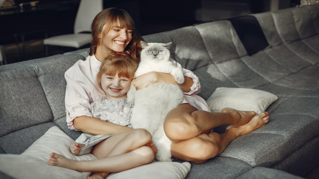 How Cats Enrich Our Lives