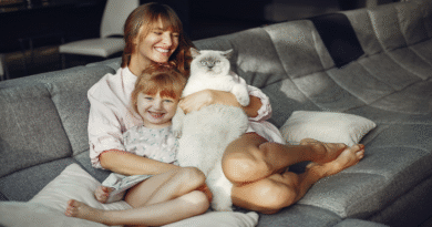 How Cats Enrich Our Lives