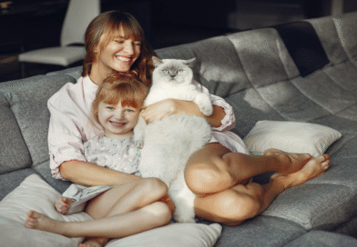 How Cats Enrich Our Lives