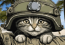 The Role Of Cats In The World War Two