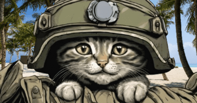 The Role Of Cats In The World War Two