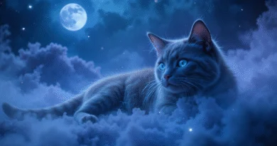 dreaming of a cat
