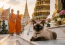A seal-point Siamese temple cat with bright blue eyes and a bell collar resting on marble steps at Wat Pho Buddhist temple in Bangkok Thailand during golden hour sunrise, with two Buddhist monks in orange robes and lotus flower offerings in background