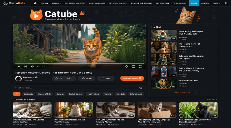 Catube Catube video page design for MeowKats featuring a large cat video player, recommended videos, categories, search bar, and latest cat videos.