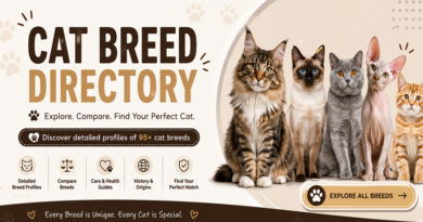 Cat Breed Directory featuring different cat breeds