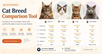 Cat Breeds Comparison Tool