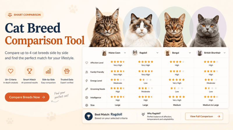 Cat Breeds Comparison Tool