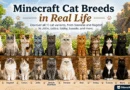 Minecraft cat breeds in real life featuring all 11 cat variants including Siamese, Ragdoll, Jellie, calico, tabby, tuxedo, Persian, British Shorthair, black, red, and white cats.