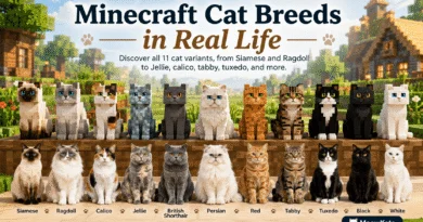 Minecraft cat breeds in real life featuring all 11 cat variants including Siamese, Ragdoll, Jellie, calico, tabby, tuxedo, Persian, British Shorthair, black, red, and white cats.