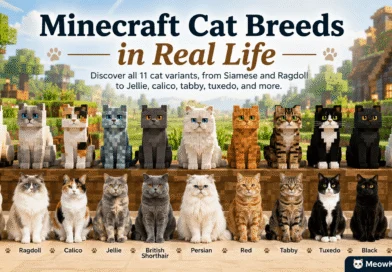 Minecraft cat breeds in real life featuring all 11 cat variants including Siamese, Ragdoll, Jellie, calico, tabby, tuxedo, Persian, British Shorthair, black, red, and white cats.