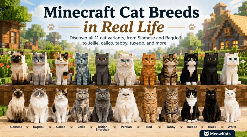 Minecraft cat breeds in real life featuring all 11 cat variants including Siamese, Ragdoll, Jellie, calico, tabby, tuxedo, Persian, British Shorthair, black, red, and white cats.